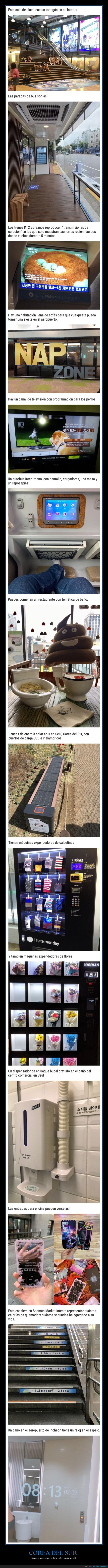 corea del sur,curiosidades