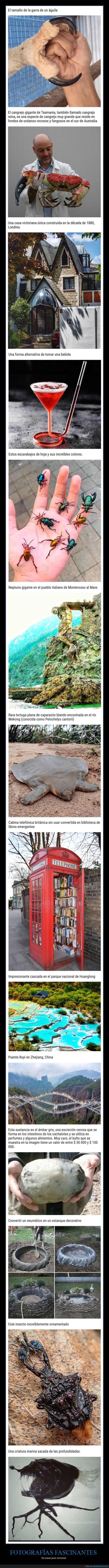 fotografías fascinantes,cosas poco comunes,curiosidades
