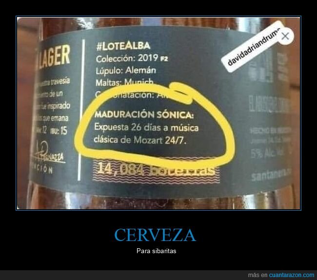 cerveza,maduración,mozart