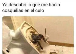 Enlace a Terrible descubrimiento