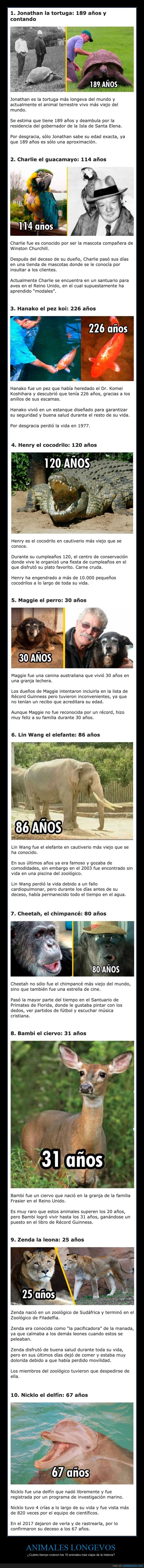 animales,longevos,edad