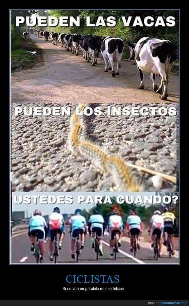 bicicletas,ciclistas,fila,paralelo