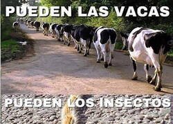 Enlace a Ir en fila es complicado...