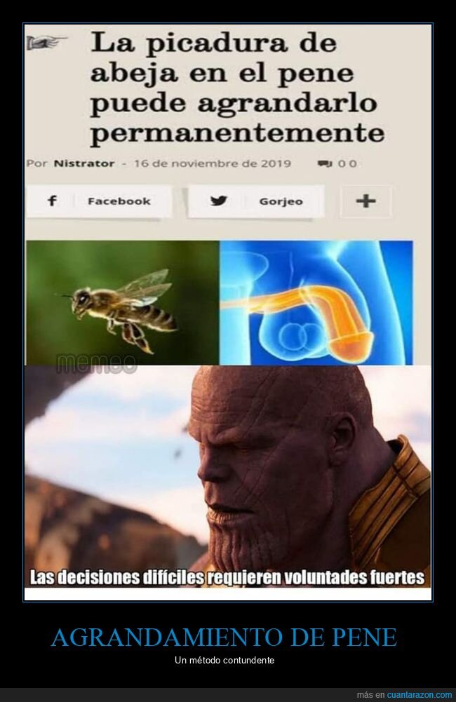 abeja,agrandar,picadura