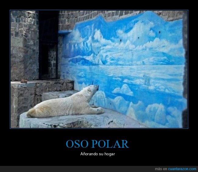 oso polar,mirando,mural