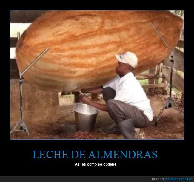 leche,almendra