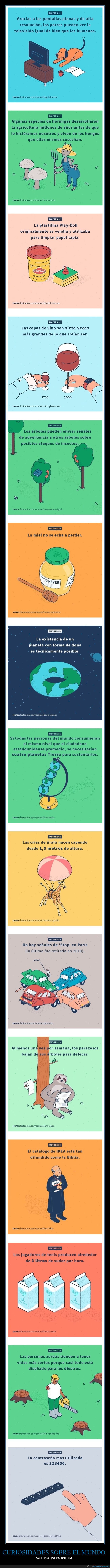 curiosidades,sabías que