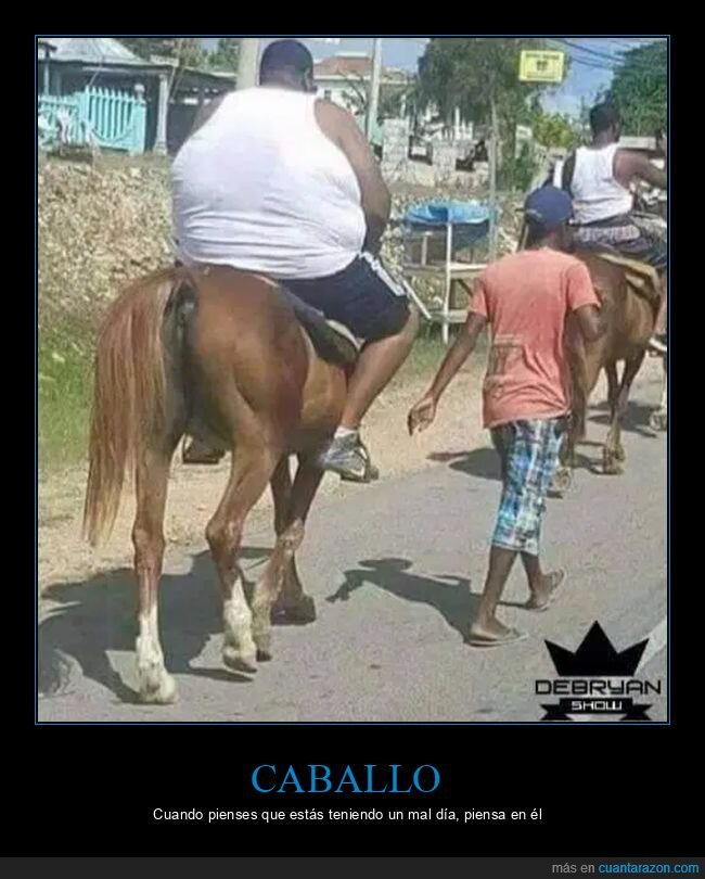 caballo,wtf