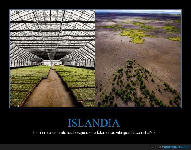 islandia,bosques,vikingos