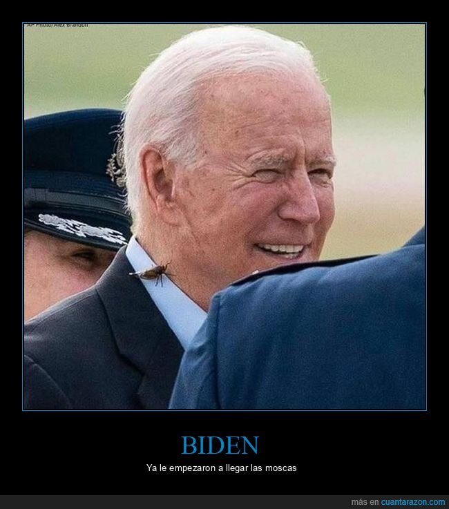 bicho,biden