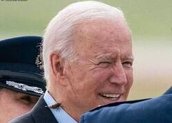 Enlace a Atrayendo bichos