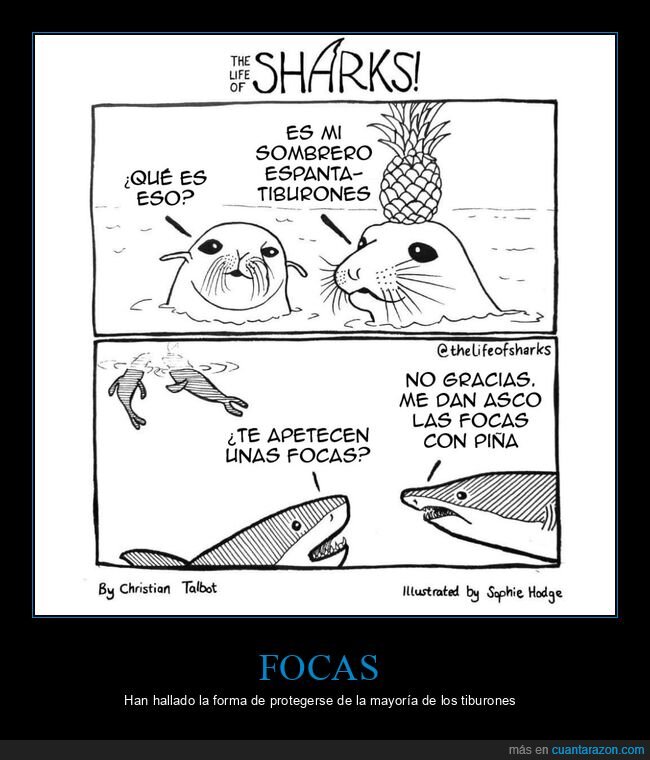 focas,piña,sombrero,tiburones