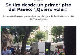 Enlace a Persiguiendo su sueño