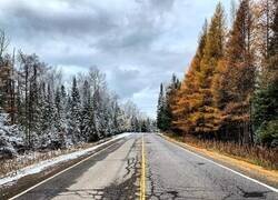 Enlace a El invierno aún no ha cruzado la calle