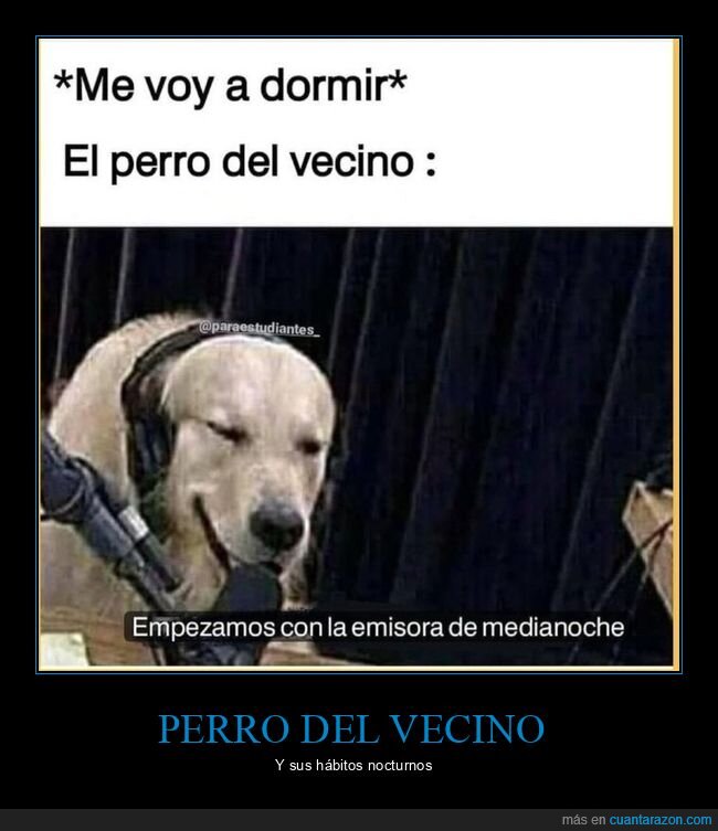 dormir,perros,vecino