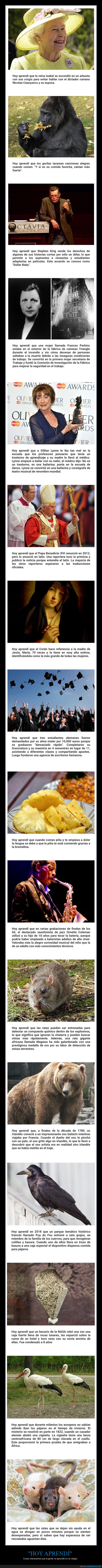 cosas interesantes,curiosidades,aprender