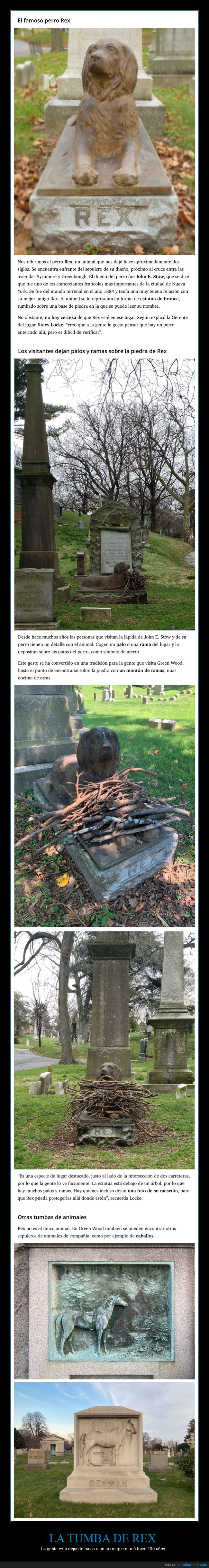 rex,tuumba,perro,palos
