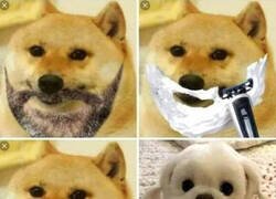 Enlace a Afeitado rejuvenecedor