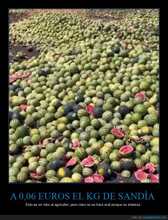 agricultor,sand&iacute;a,precio