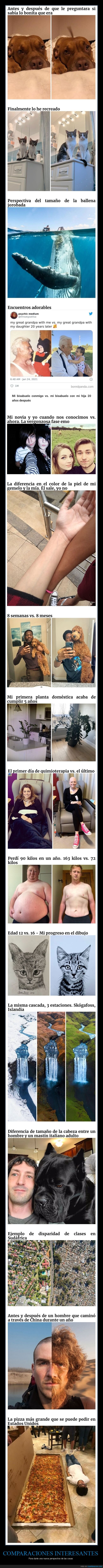 comparaciones,curiosidades