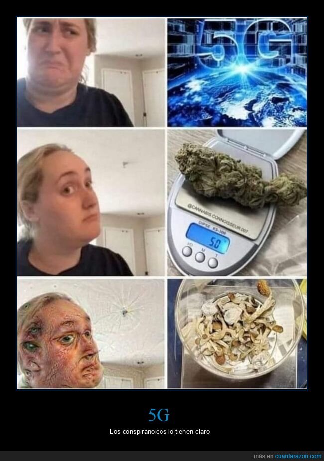 5g,aportes,gramos,marihuana,setas