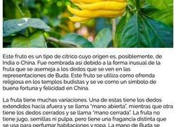 Enlace a Frutas y verduras raras que probablemente no sabías que existían
