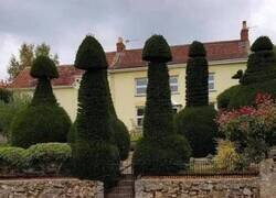 Enlace a ¿En qué estaría pensando el jardinero?