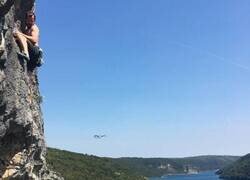 Enlace a Sus gafas decidieron suicidarse