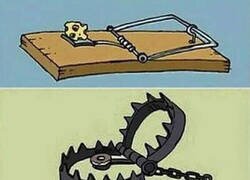 Enlace a Tipos de trampas