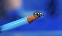 Enlace a Pequeña y tóxica