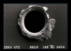 Enlace a Un agujero en la Estación Espacial Internacional