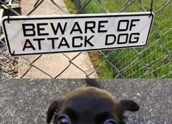 Enlace a Ataque mortífero