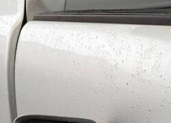 Enlace a Greta te observa