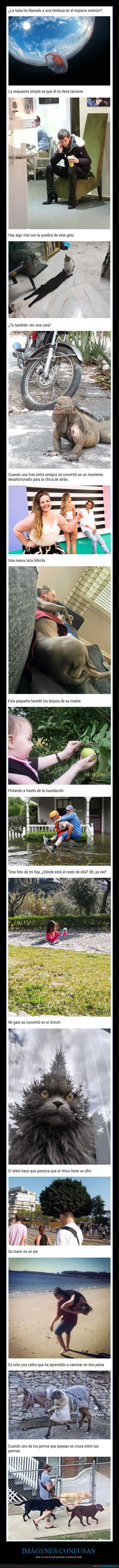 imágenes confusas,mindfuck,wtf