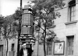 Enlace a Maestro del equilibrio