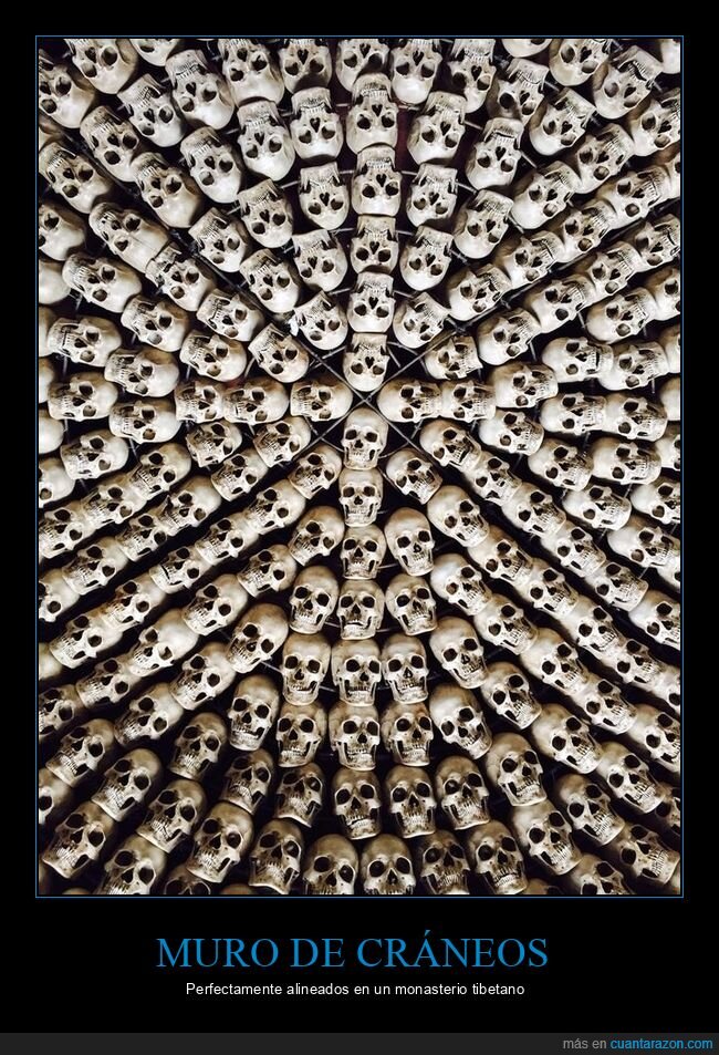 muro,cráneos,alineados,monasterio tibetano
