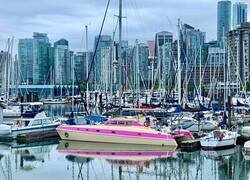 Enlace a Un color discreto