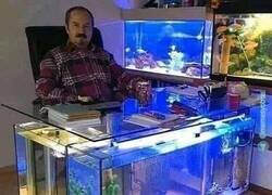 Enlace a Un hombre realizado