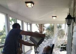 Enlace a Refrescando a la abuela