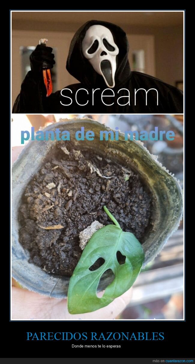 scream,plantas,madre,jardín