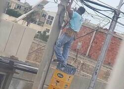 Enlace a Sus compañeros velan por su seguridad