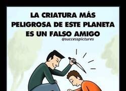 Enlace a Amistades peligrosas