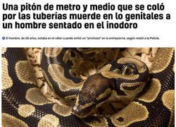 Enlace a No me quiero ni imaginar el susto...