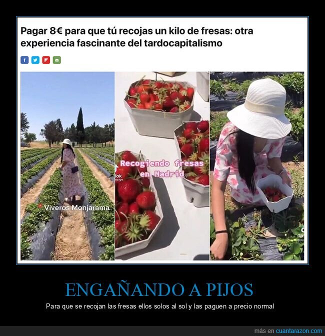 fresas,pagar,recoger,wtf