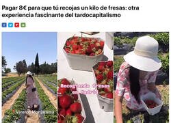 Enlace a El que ha inventado este negocio es un genio