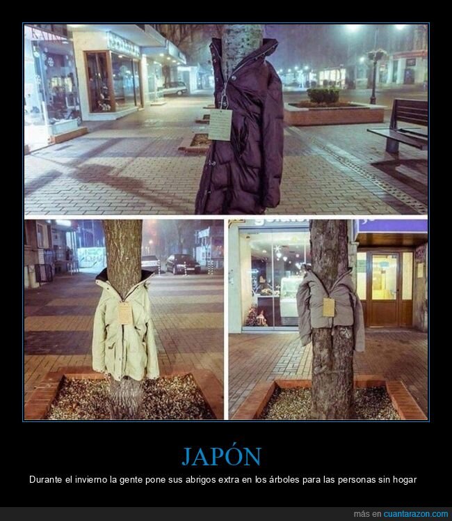 japón,abrigos,árboles,invierno