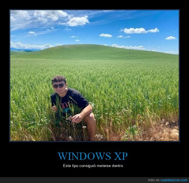 windows xp,fondo de pantalla