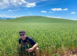 Enlace a En el interior del fondo de pantalla más famoso