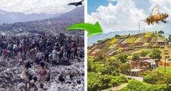 Enlace a Un cambio drástico