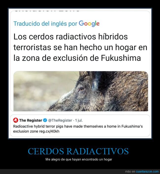 cerdos,fukushima,híbridos,radiactivos,wtf